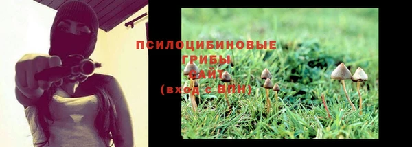 соль курить ск Иннополис