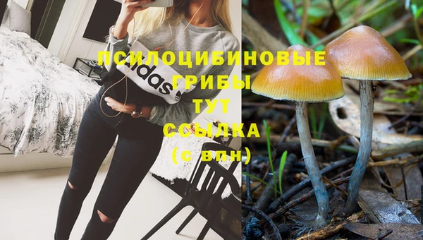наркотики Зерноград