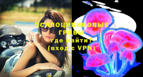 стафф Инсар