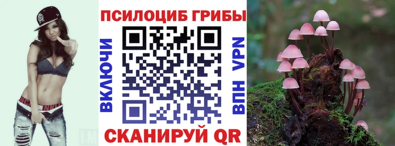 Галлюциногенные грибы Cubensis  Хилок 